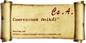 Csernicsek Anikó névjegykártya
