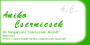 aniko csernicsek business card